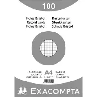 Exacompta Fiches (210 x 297 mm, 205 g/m²)