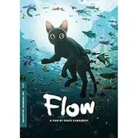 Import Flow DVD