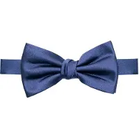 Profuomo Originale Noeud papillon royal, Unicolore