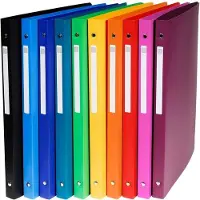 Exacompta Classeurs à anneaux (A4, 20 mm, 1 pcs)