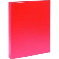 Exacompta Ringbuch (A4)