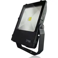 Franssen Spot LED Floodlight