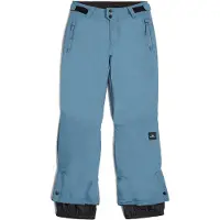 O'Neill Fwc Cruz Pants Bleu 9-10 Years Enfants