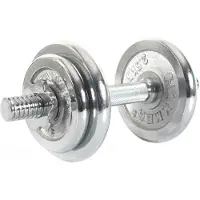 FINNLO 10kg Dumbbell Set Argenté 10 kg