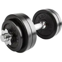 FINNLO 15kg Dumbbell Set Argenté 15 kg