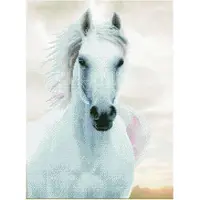 Diamond Dotz Diamond Painting cheval blanc