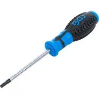 Bgs Tournevis torx avec perçage T27 tige 100 mm manche bicomposant antidérapant