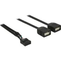 DeLOCK Câble USB 2.0 Type A 2 x Fiche sur Pin Header 40 cm -