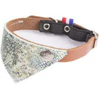 Martin Collier Pour Chat Malibu 30 Cm Mixte Vert