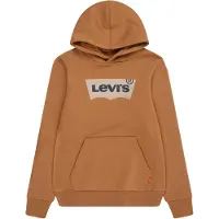 Levi's Sweat-shirt enfant BATWING SCREENPRINT HOODIE garcons - Beige - US 10