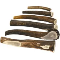 Brekz Snacks - Antler cerf pour chien