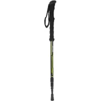 Regatta - Bâton de marche ULTRALITE - Unisexe (Taille unique) (Noir) - UTRG3763