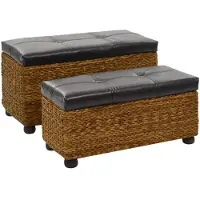 vidaXL Ensemble de banc lot de 2 Jacinthe d'eau Marron