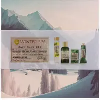 Accentra Set de soins WINTER SPA en coffret cadeau, parfum : Ginger & Mint (Set soin du corps)