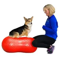 FitPAWS Trax Peanut - Rouge