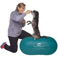 FitPAWS Plate-forme d'équilibre pour animaux de compagnie 60 cm Bleu