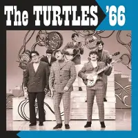 Import The Turtles '66 Vinyle Vert