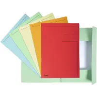 Exacompta Fardes de classement - Couvertures de dossiers (Folio, 1x)
