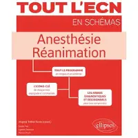 Ellipses Anesthésie - Réanimation