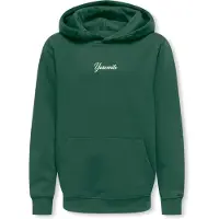 Only & Sons Seulement & Fils Hans Life Hoodie Junior