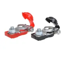 Proplus Jeu de pinces pour bornes de batterie (+) et (-) avec protection plastique rouge/noir sous blister
