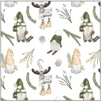 Ambiente Noël Serviettes 25x25 cm 3 plis 20 Forest gnomes whiteMix nains de la forêt lutins & gnomes