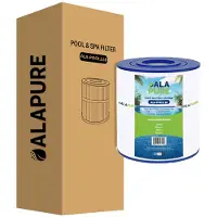 Alapure Filtre pour piscine compatible avec les modèles Hayward CX250RE / C250 / C250EUR