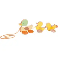 Classic World Canard à poils longs