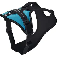 JULIUS K-9 Harnais Pour Chien Longwalk Light