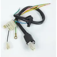 RSM Faisceau Électrique De Stator D'allumage Pour Mobylette Peugeot 103 Électronique 12v