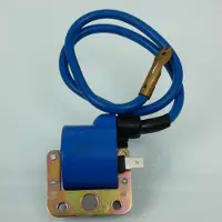 P2r Bobine D'allumage Ht Pour Mobylette Piaggio 50 Grillo Neuf