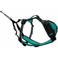 SYMBIOZ Harnais pour Chien SYMBIOZ Noir XXS