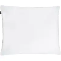 Shumee Oreiller En Plumes Et Duvet De Canard 50 X 60 Cm Feldberg