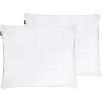 Shumee Lot De 2 Oreillers En Plumes Et Duvet De Canard 50 X 60 Cm Feldberg