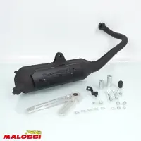 MALOSSI Pot D Échappement Pour Scooter Kymco 50 Agility R16 2t 2000 3216593 / Wild Lion Neuf