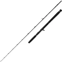 Savage Gear Canne Jigging Defiance Sg2 Cast