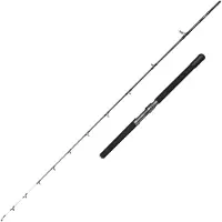 Penn Canne Jigging Battalion Solid Electric Straight Butt