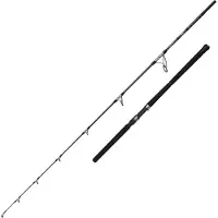 Penn Canne Jigging Ally Ii Offshore