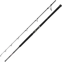 Penn Canne Jigging Ally Ii Offshore