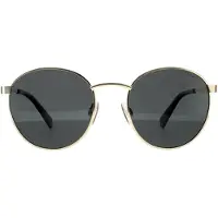 Polaroid PLD 2053-S ANTGD GRE (2F7 M9), Lunettes de soleil