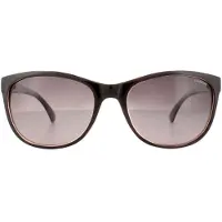 Polaroid Lunettes de soleil - - P8339 - Couleur Violet - Monture Wayfarer - Protection Catégorie 2