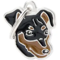 My Family Médaille Pour Chien Pinscher