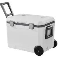 Vevor Glacière Rigide Isotherme de 45 QT 43 L