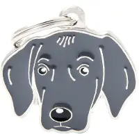 My Family Médaille Pour Chien Weimaraner