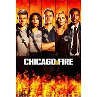 Universal Chicago Fire Saison 12 DVD