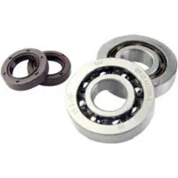 Doppler Roulement Ou Joint Spi Moteur Pour Scooter Peugeot 50 Vivacity 2 2004 À 2007 Neuf