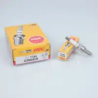 Ngk Bougie D'allumage Pour Moto Malaguti 125 Runner 2005 À 2020 Neuf