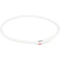 Trixie 4x Collier lumineux (L, M, S, XL, XS, Chien, Général)