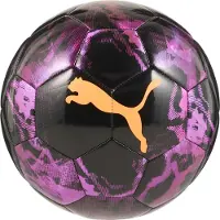 Puma Cup