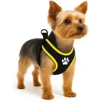 Flamingo Harnais Pour Chien Step&go Tasha